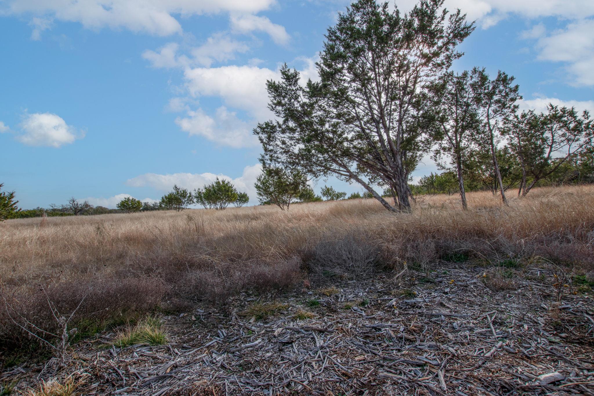 TBD Burnet Oaks Lot 10 Dr, Burnet, TX 78611