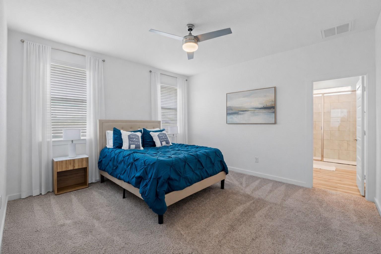 293 Tequilana Pass, Leander, TX 78641