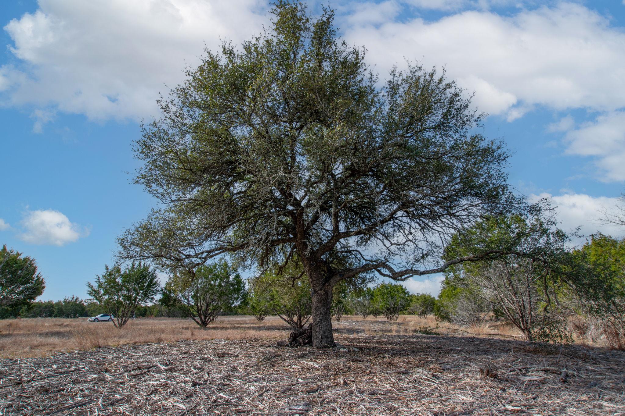 TBD Burnet Oaks Lot 20 Dr, Burnet, TX 78611