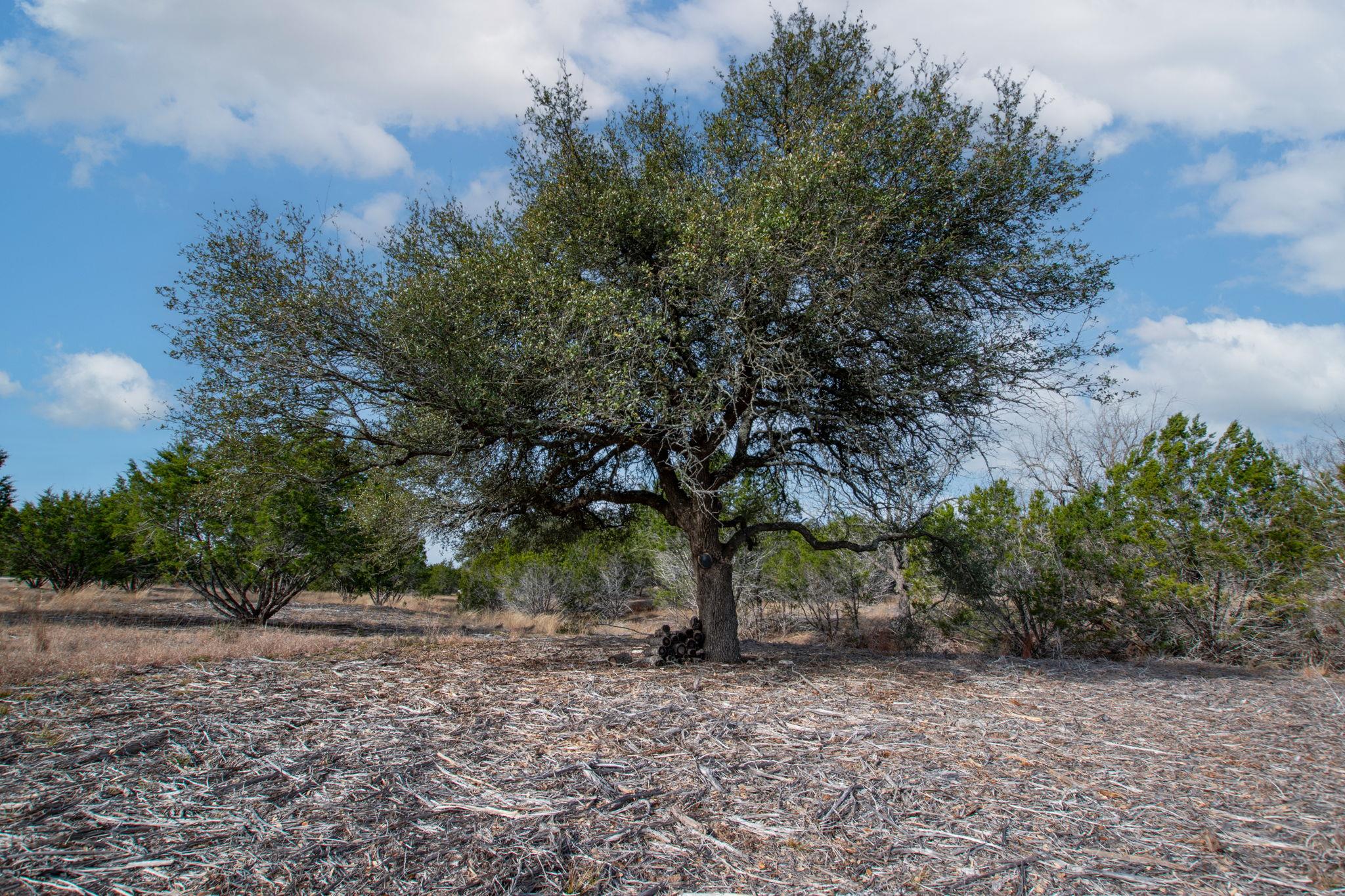 TBD Burnet Oaks Lot 20 Dr, Burnet, TX 78611