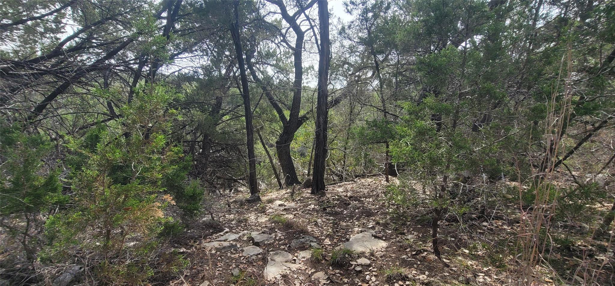 21003 Panhandle Cv, Lago Vista, TX 78645