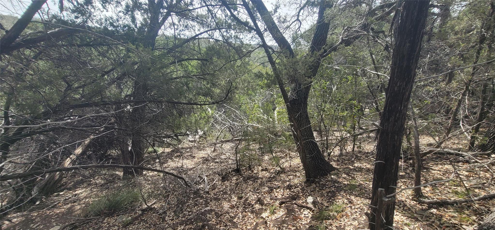 21003 Panhandle Cv, Lago Vista, TX 78645