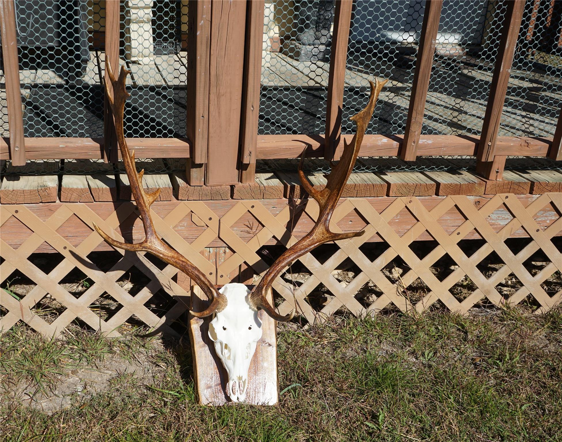 831 Magers Rd, Concan, TX 78838