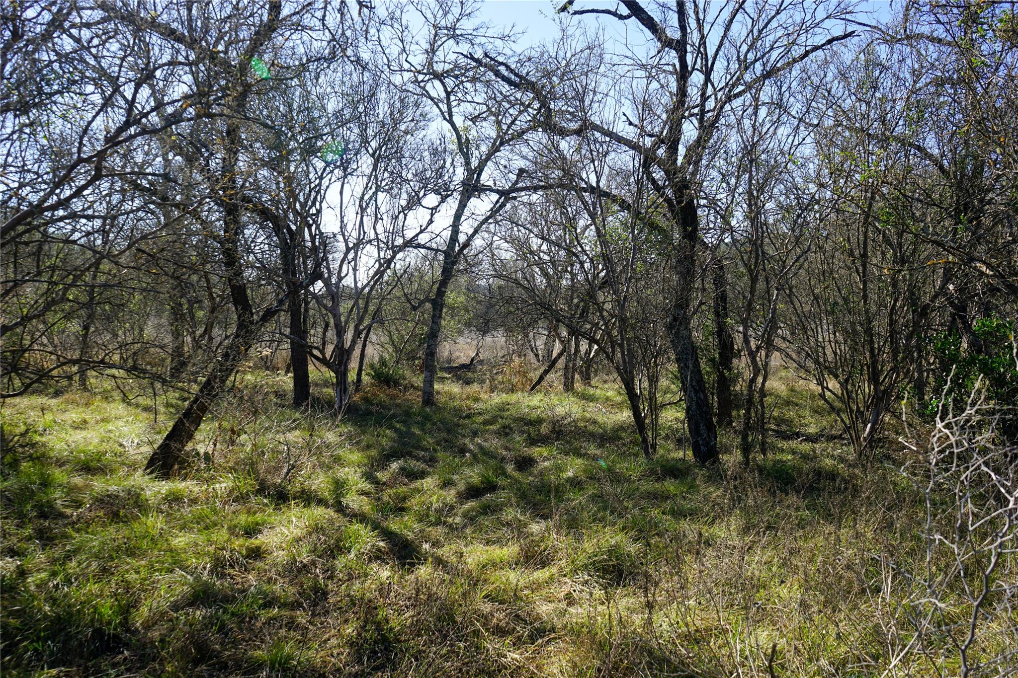 831 Magers Rd, Concan, TX 78838