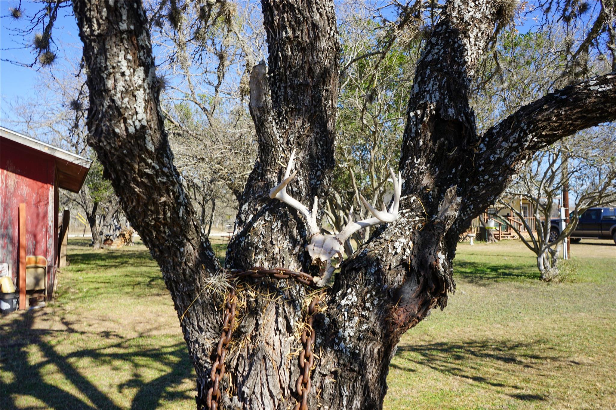 831 Magers Rd, Concan, TX 78838