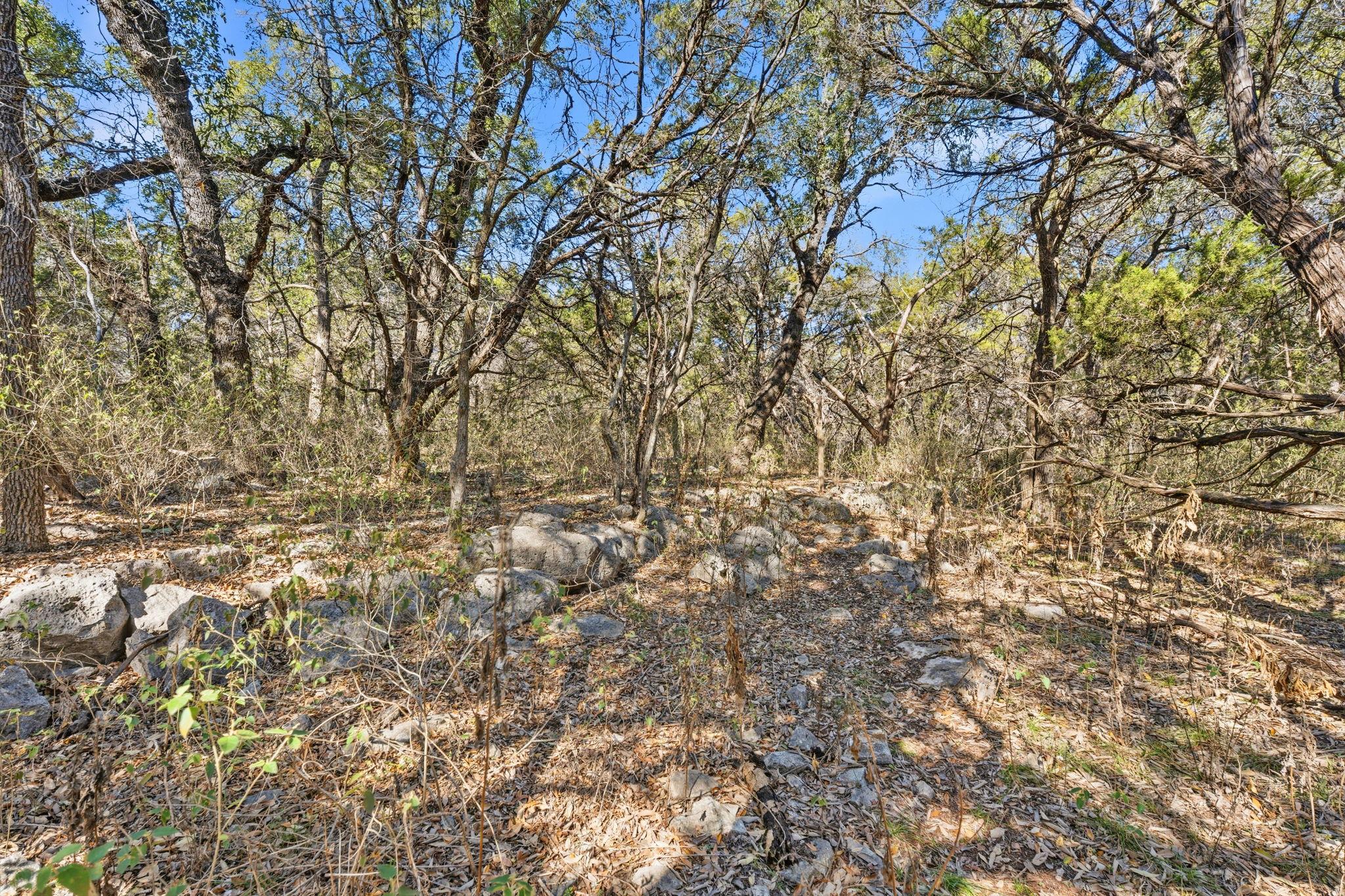 1081 Clark Cv, Buda, TX 78610