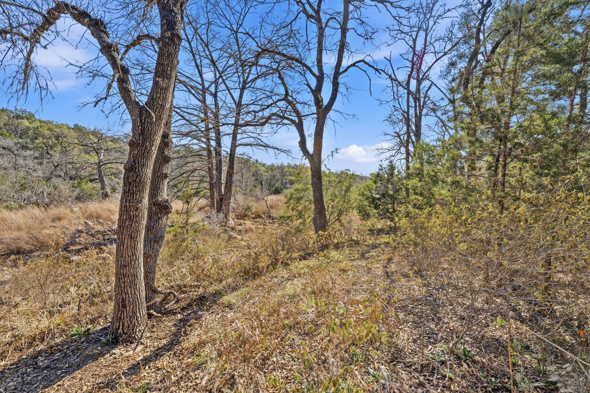 1081 Clark Cv, Buda, TX 78610