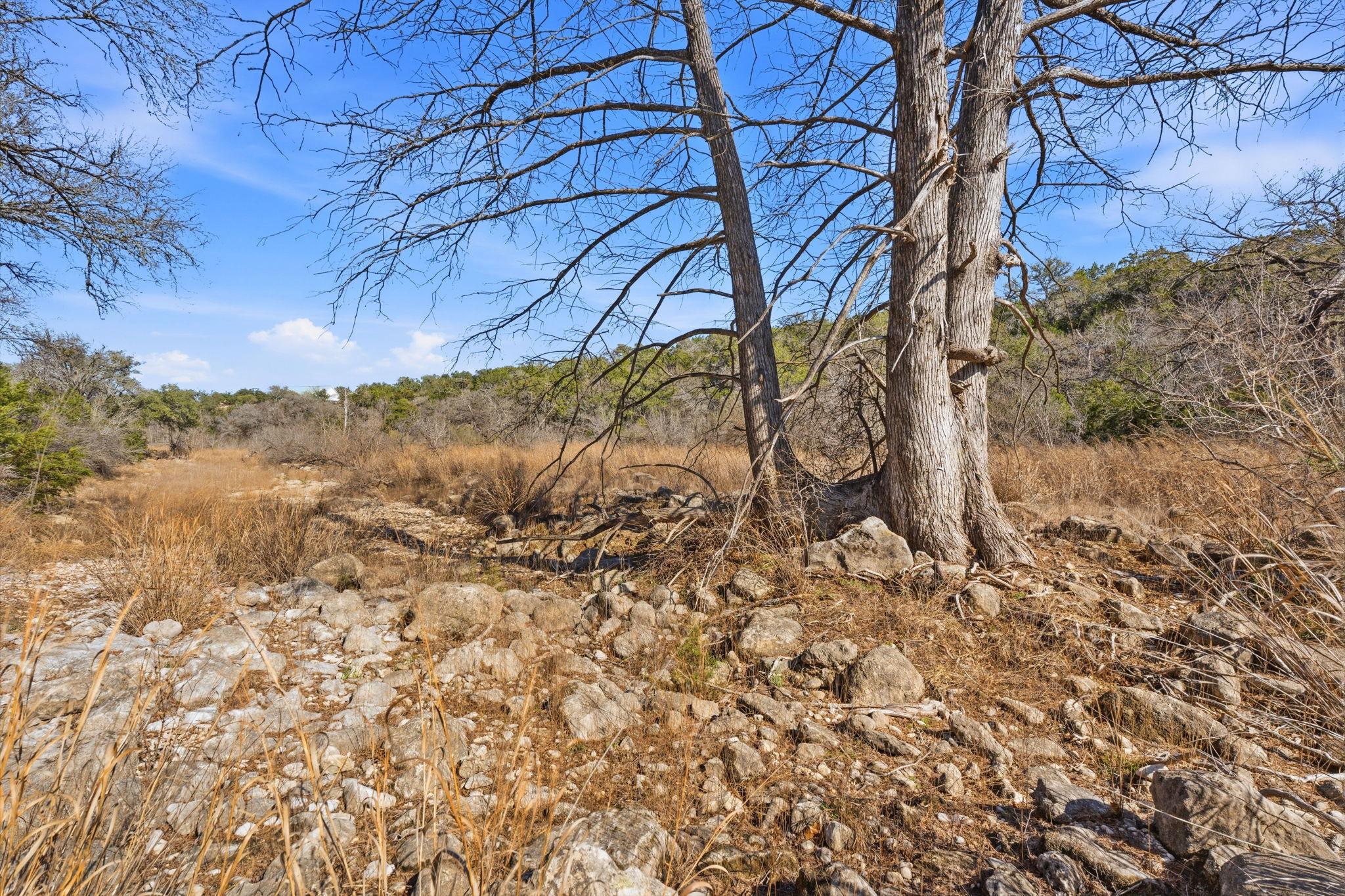 1081 Clark Cv, Buda, TX 78610