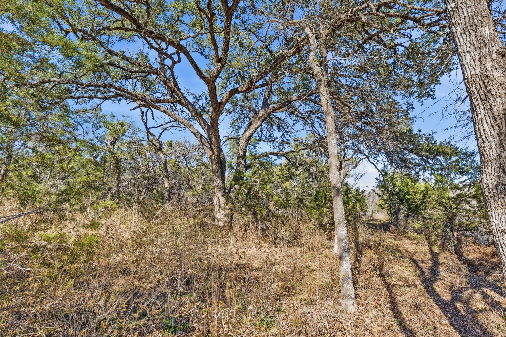 1081 Clark Cv, Buda, TX 78610