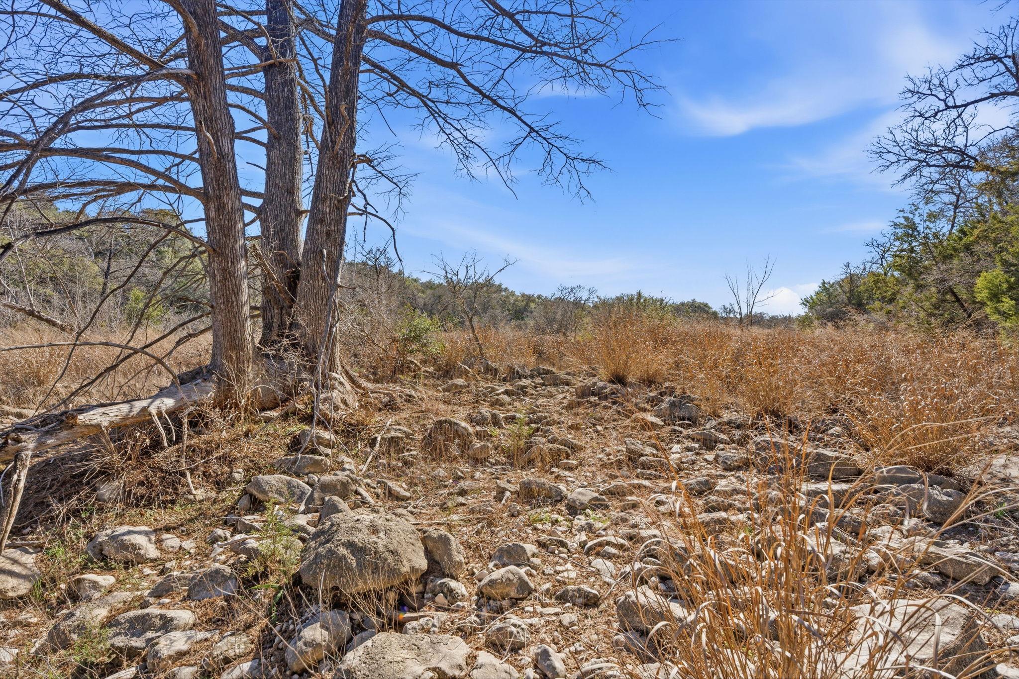 1081 Clark Cv, Buda, TX 78610