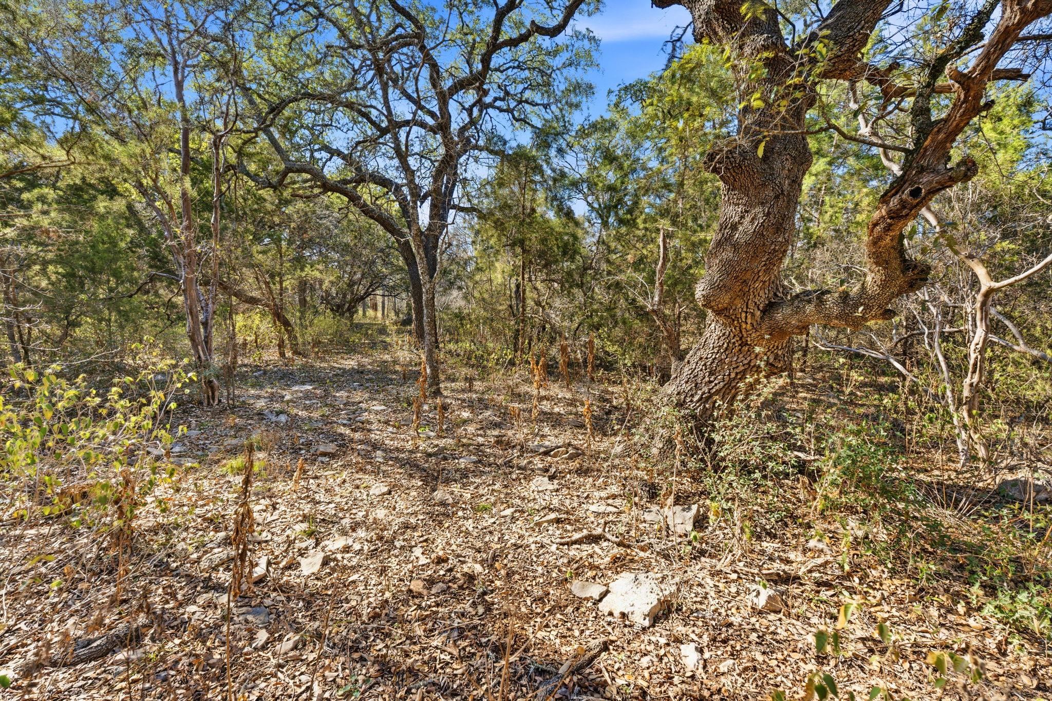 1081 Clark Cv, Buda, TX 78610