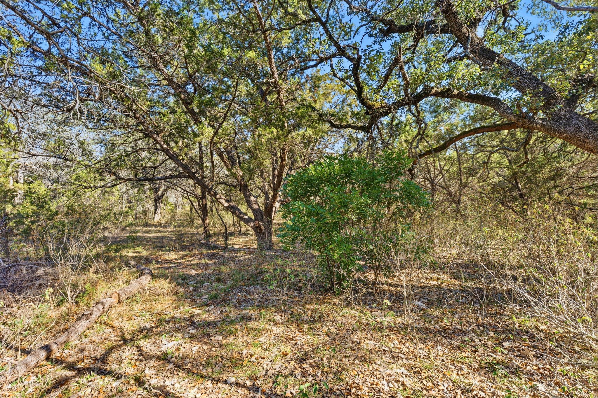 1081 Clark Cv, Buda, TX 78610