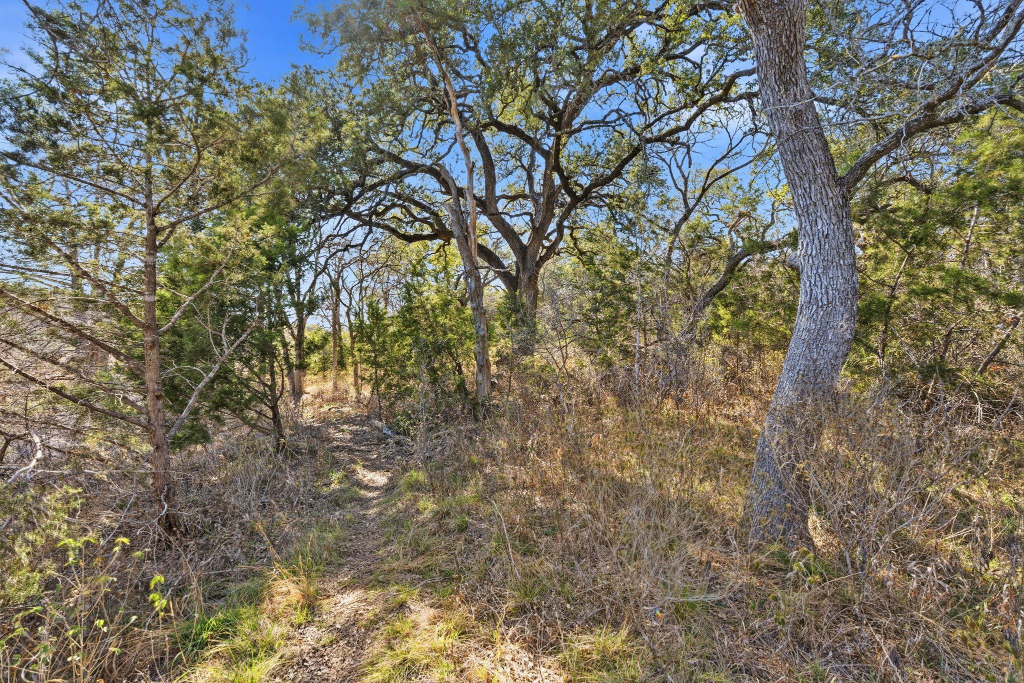 1081 Clark Cv, Buda, TX 78610