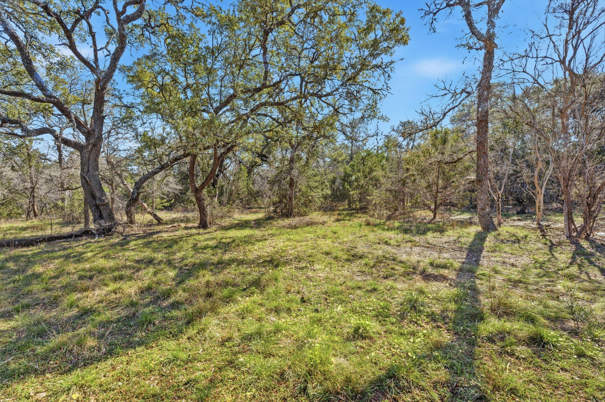 1081 Clark Cv, Buda, TX 78610