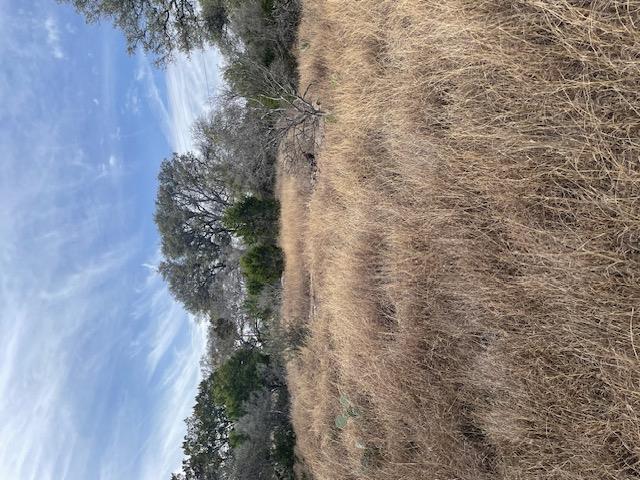 TBD LongBow Dr, Horseshoe Bay, TX 78657