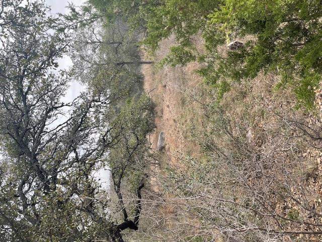 TBD LongBow Dr, Horseshoe Bay, TX 78657