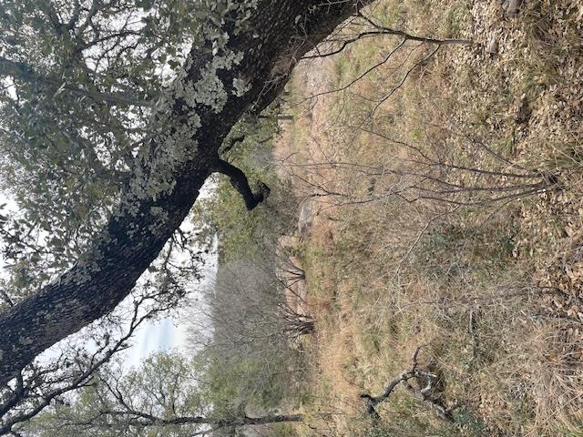 TBD LongBow Dr, Horseshoe Bay, TX 78657