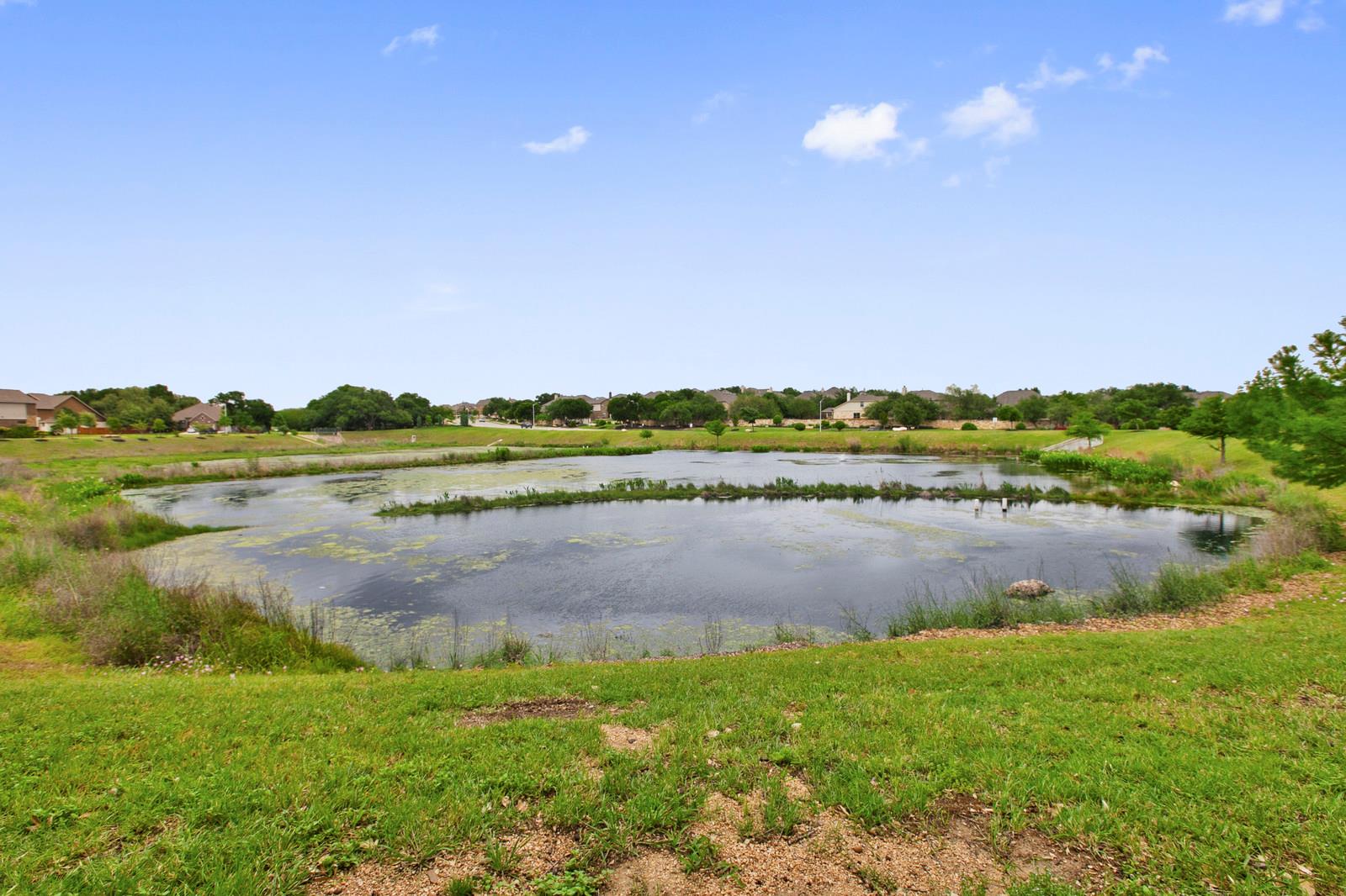 201 Caddo Lake Dr, Georgetown, TX 78628