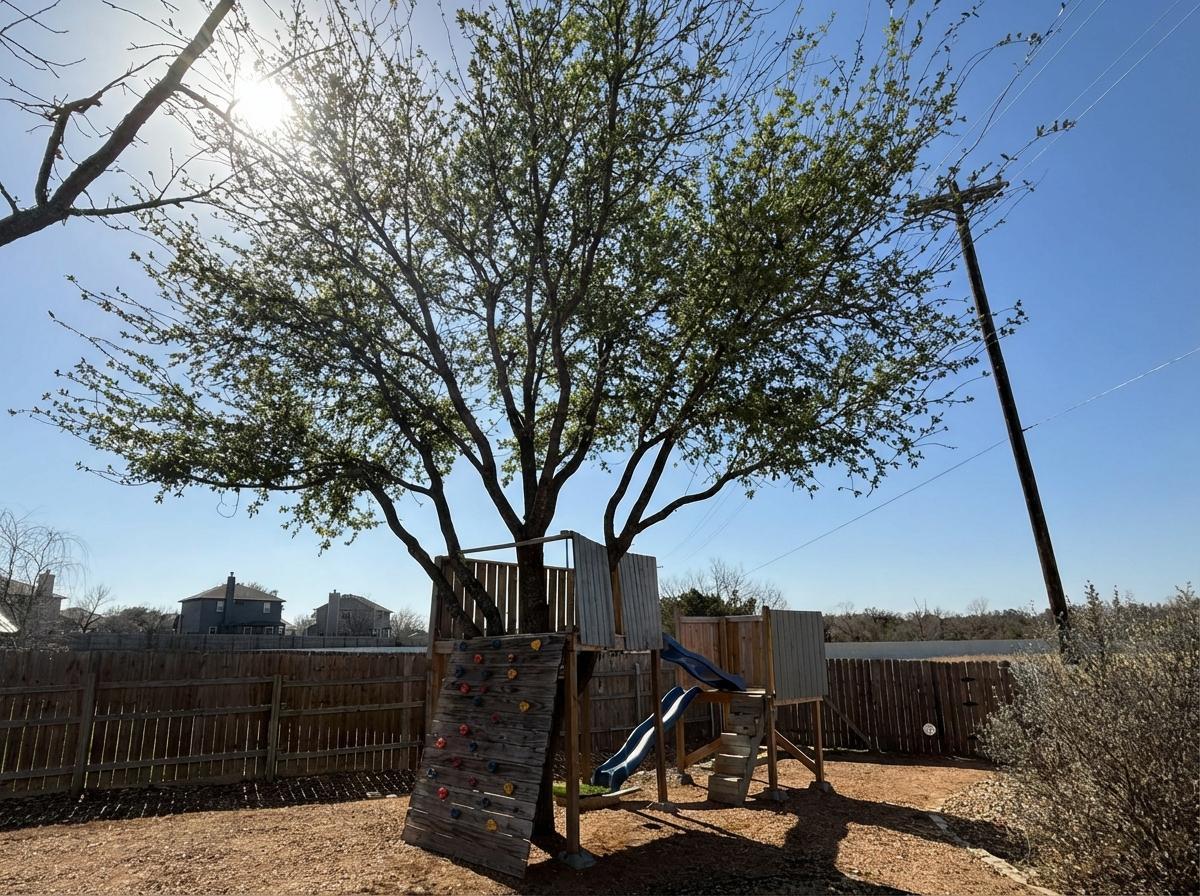 1607 Rio Bravo Loop, Leander, TX 78641