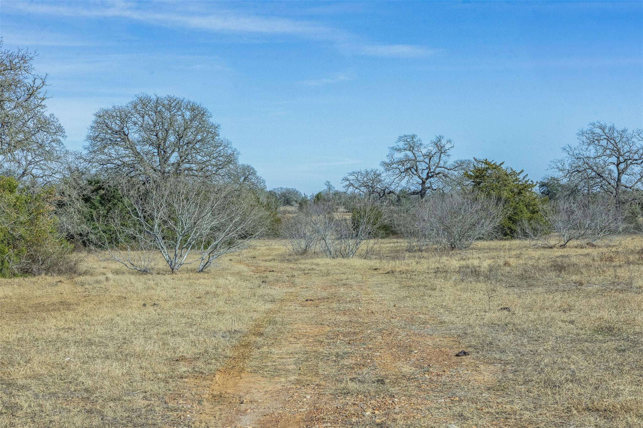 TBD CR 200, Giddings, TX 78942