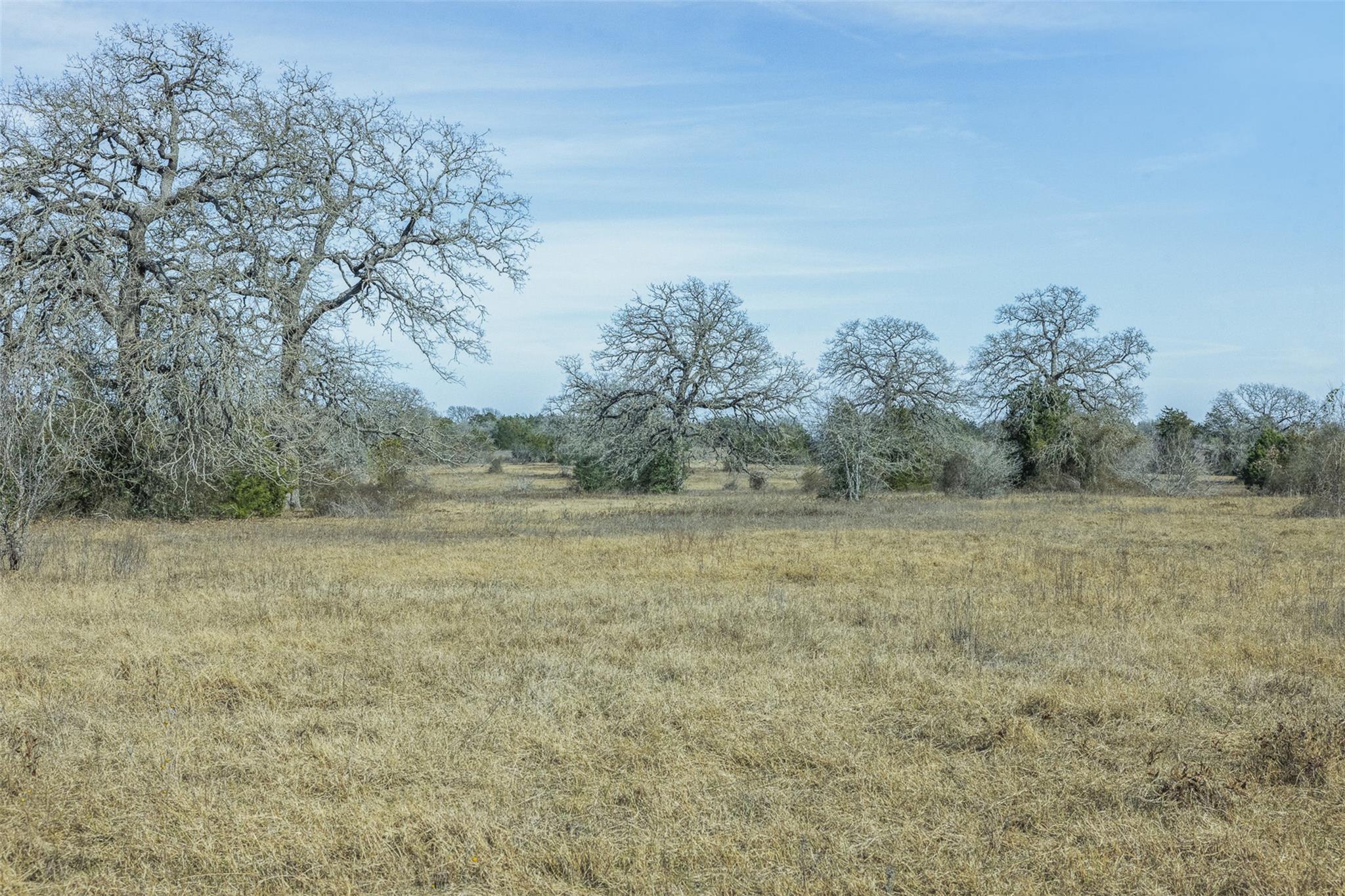 TBD CR 200, Giddings, TX 78942