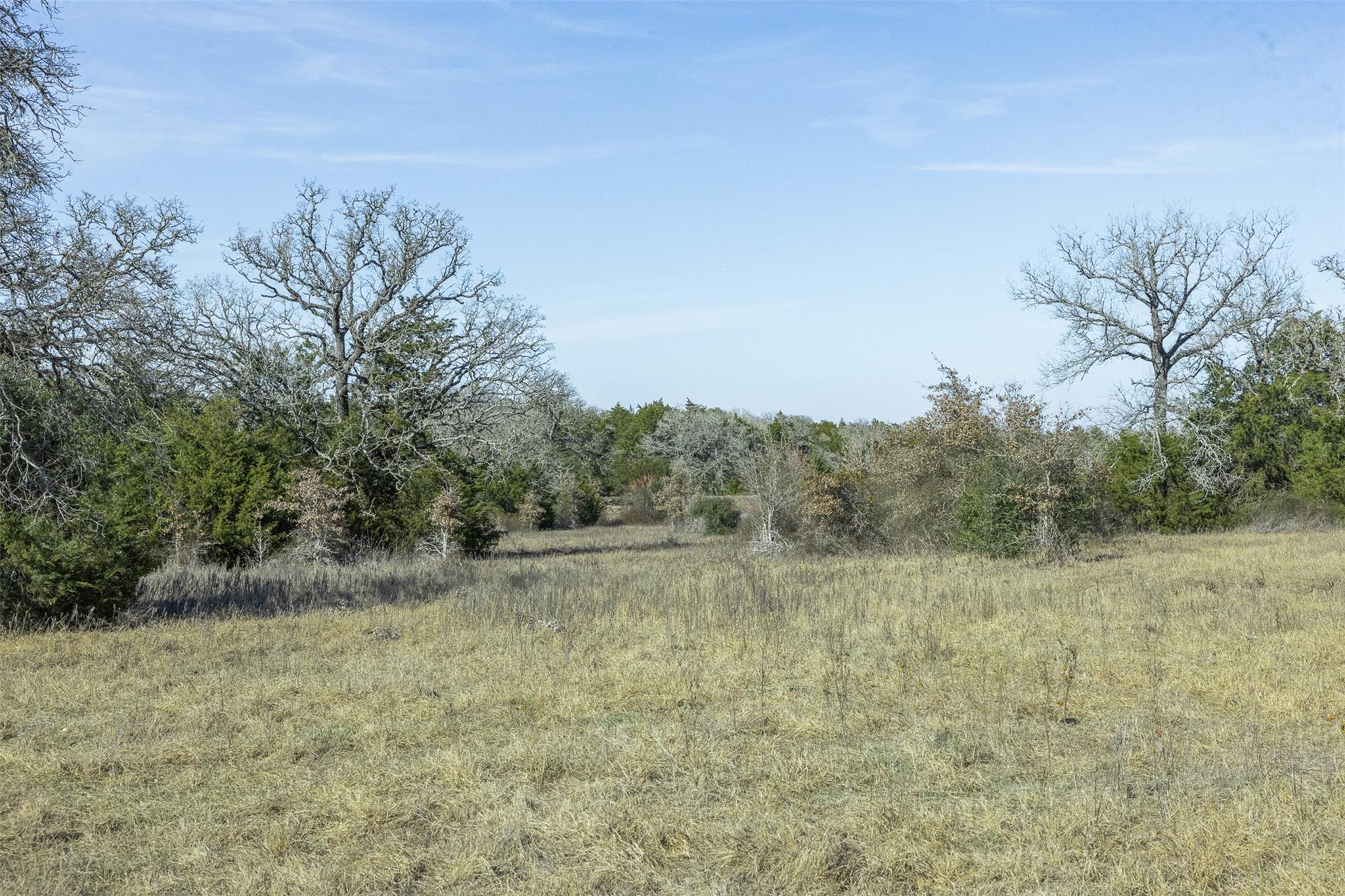 TBD CR 200, Giddings, TX 78942