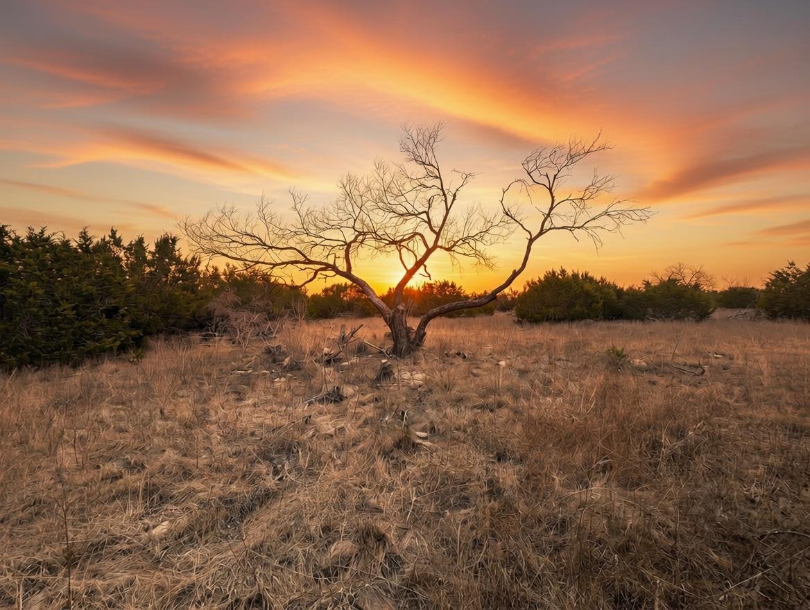 TBD Private Road 16020, Jonesboro, TX 76538