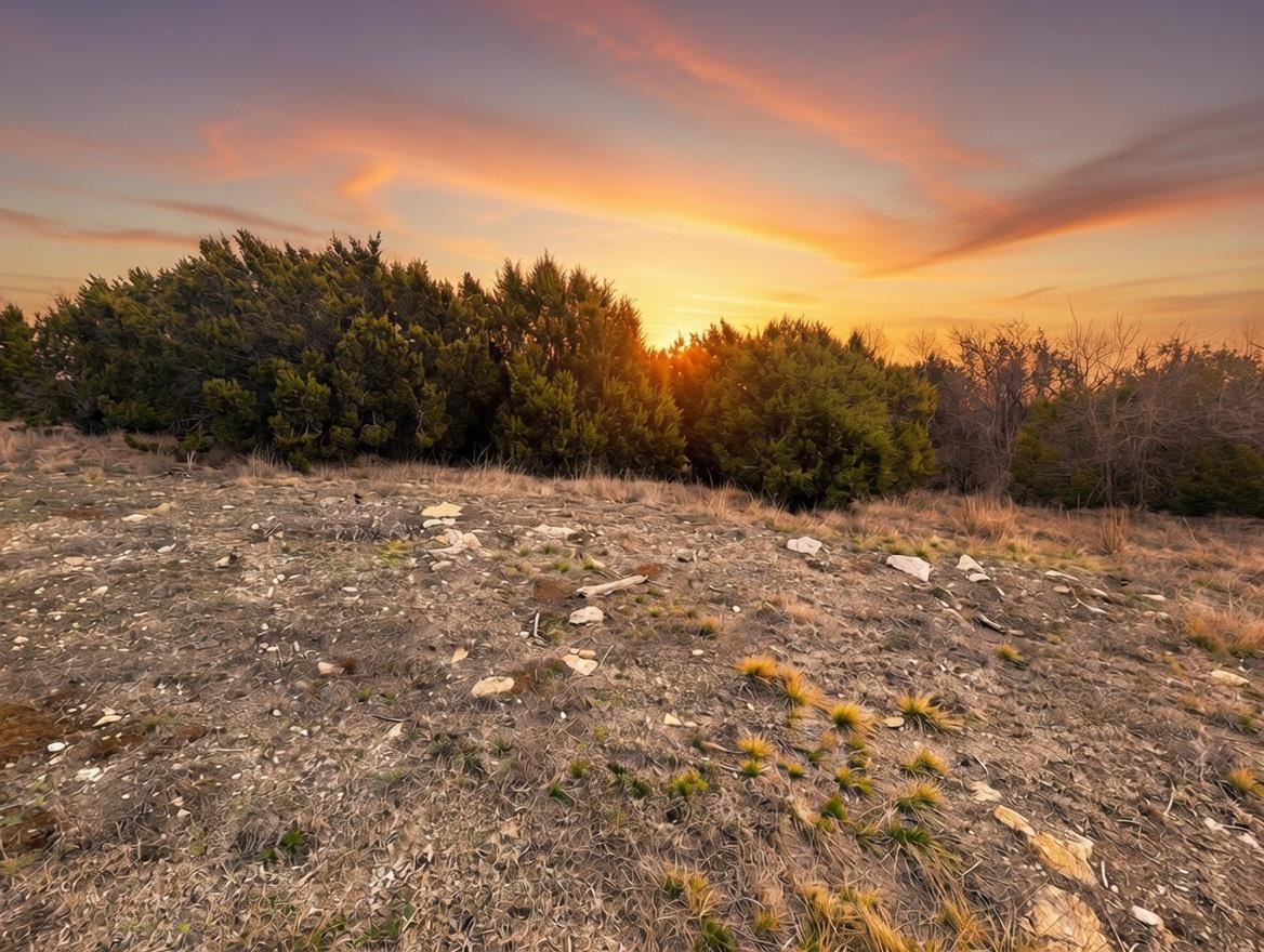 TBD Private Road 16020, Jonesboro, TX 76538