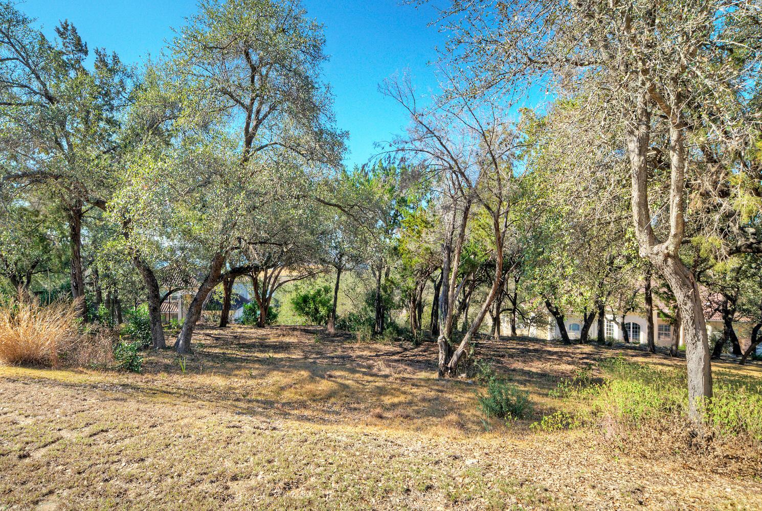 1311 Osprey Ridge Loop, Lago Vista, TX 78645