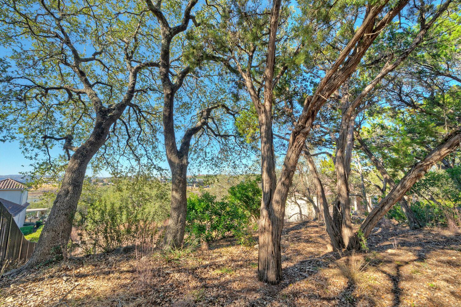 1311 Osprey Ridge Loop, Lago Vista, TX 78645