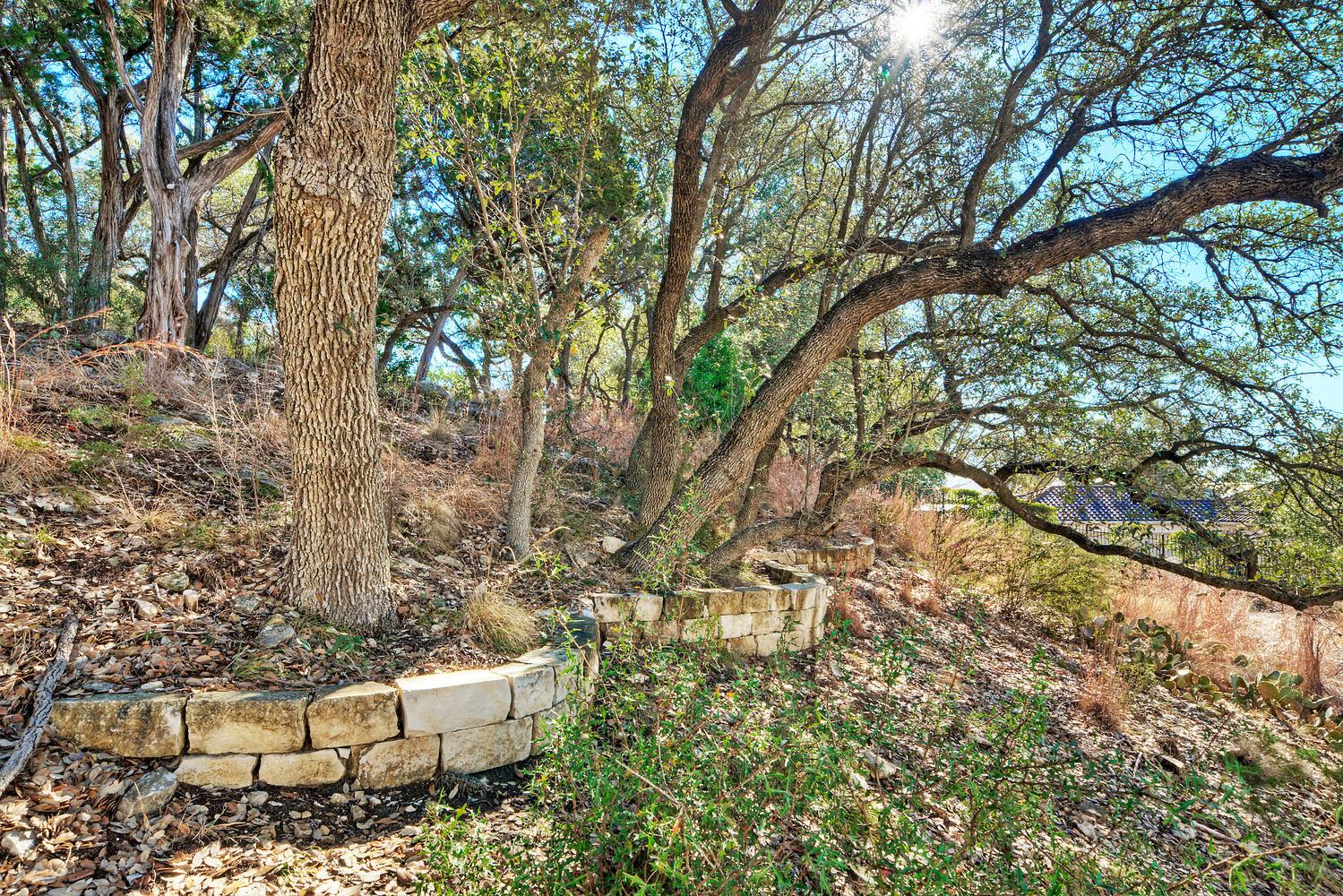 1311 Osprey Ridge Loop, Lago Vista, TX 78645