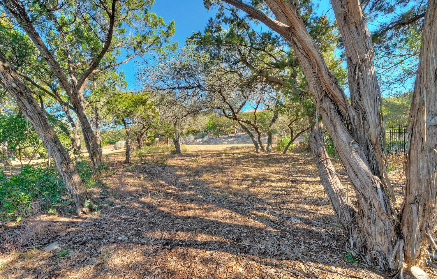 1311 Osprey Ridge Loop, Lago Vista, TX 78645