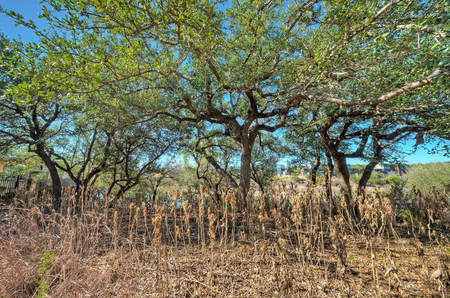 1311 Osprey Ridge Loop, Lago Vista, TX 78645