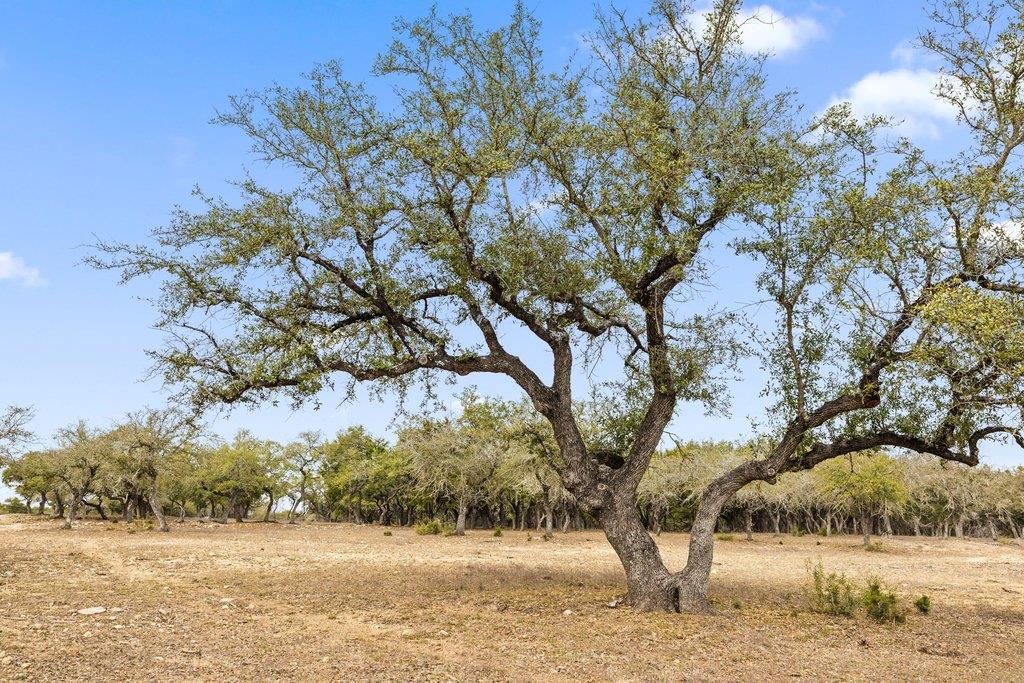 5400 Fm 2325, Wimberley, TX 78676