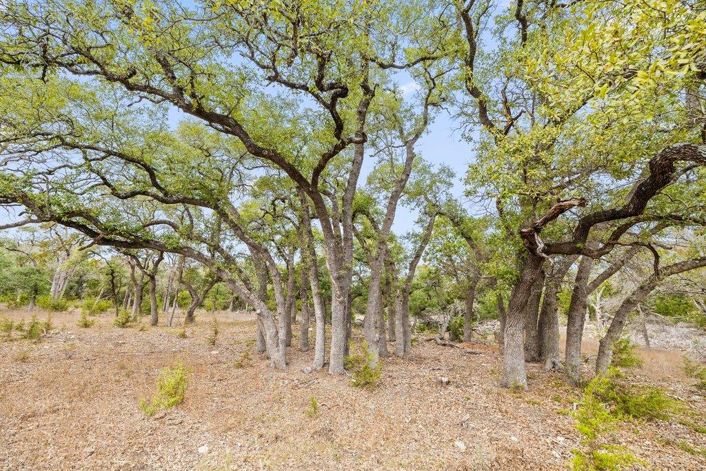 5400 Fm 2325, Wimberley, TX 78676