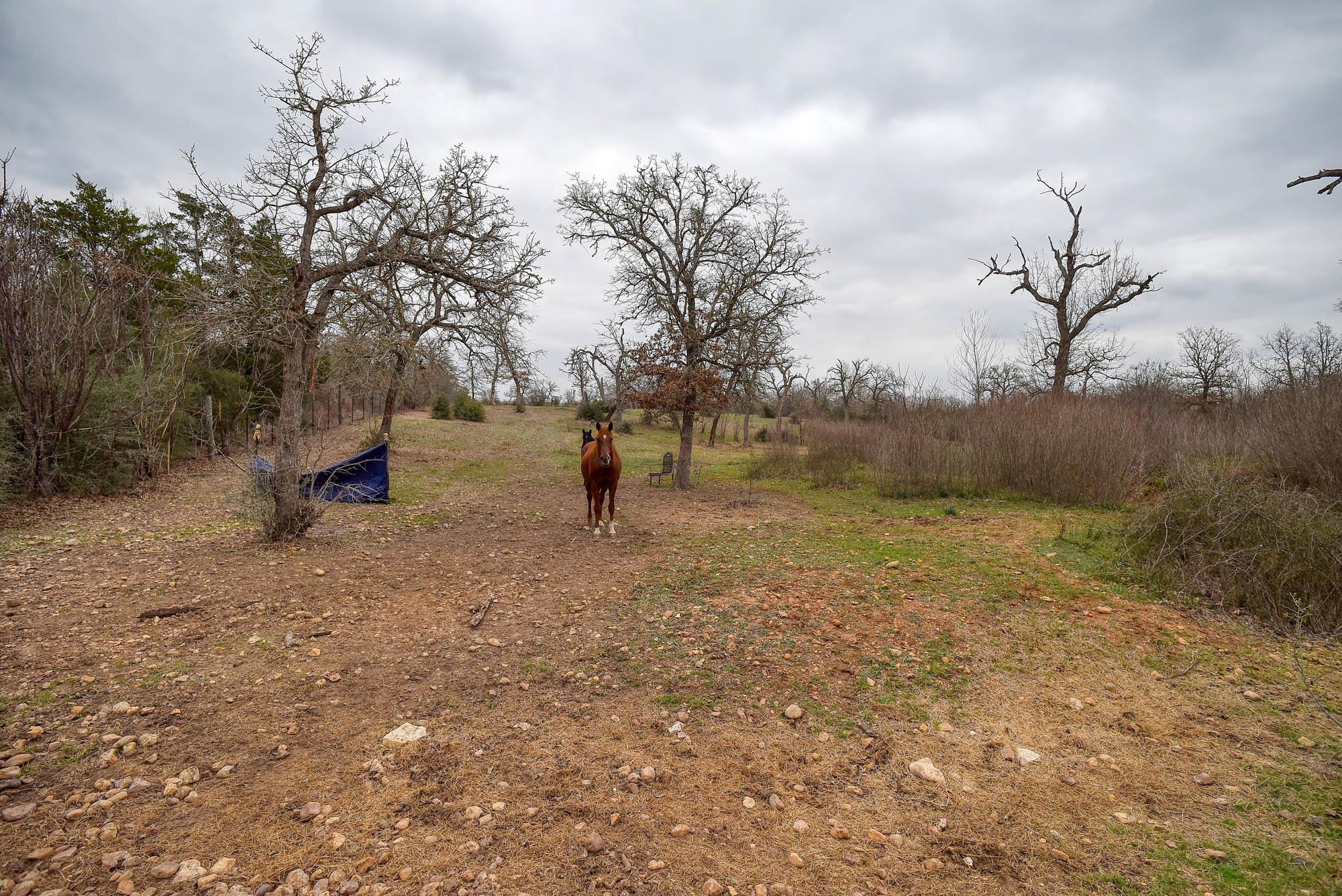 537 Leisure Ln, Cedar Creek, TX 78612