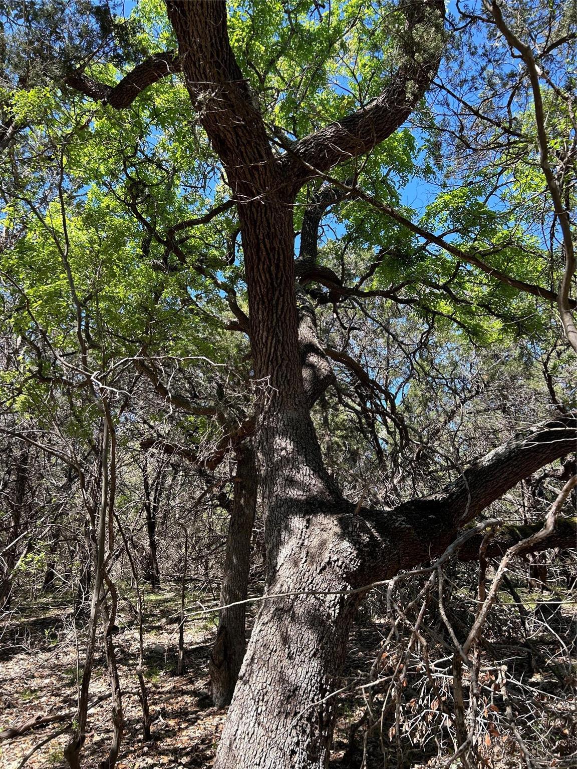 37 Heathrow Ln, Wimberley, TX 78676