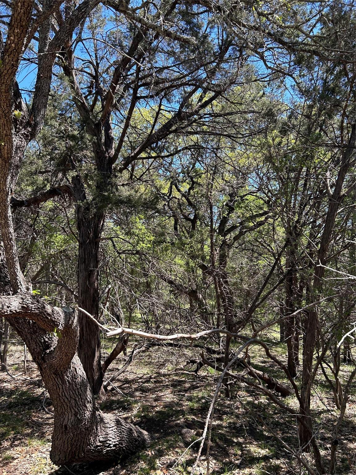 37 Heathrow Ln, Wimberley, TX 78676