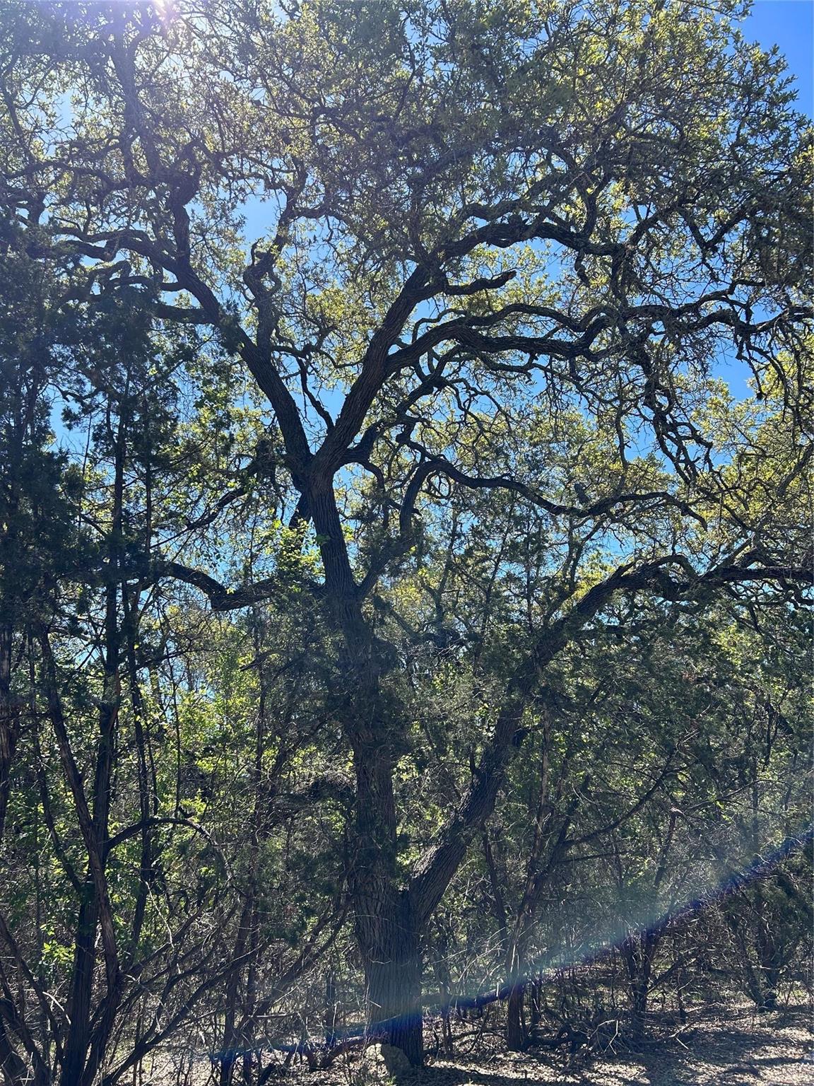 37 Heathrow Ln, Wimberley, TX 78676