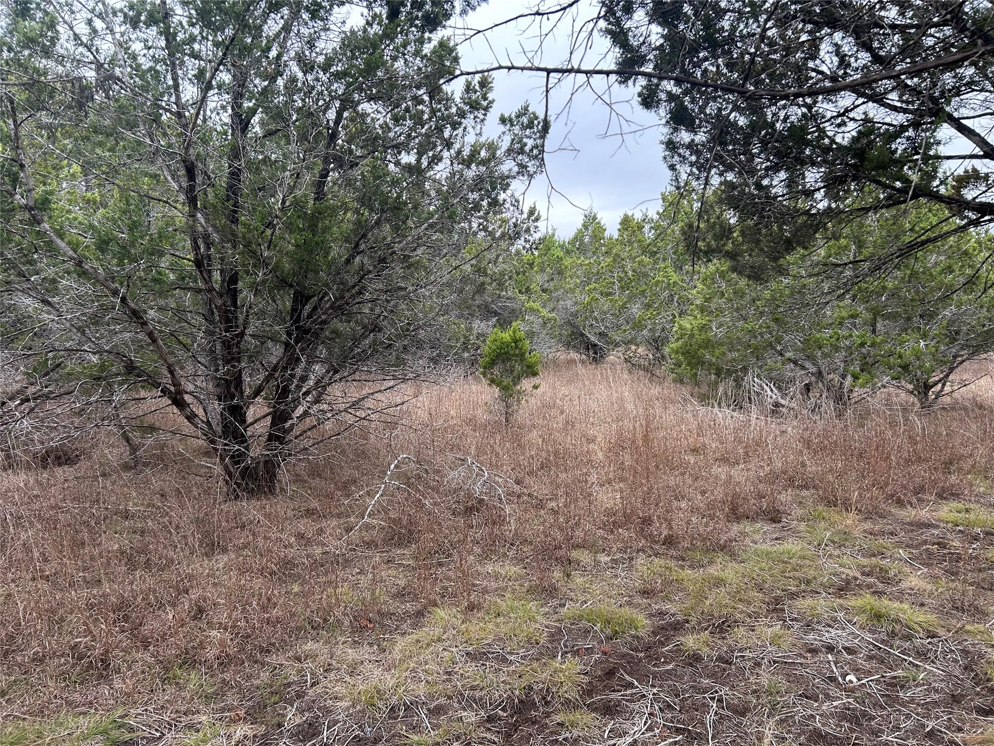 26 Heathrow Ln, Wimberley, TX 78676