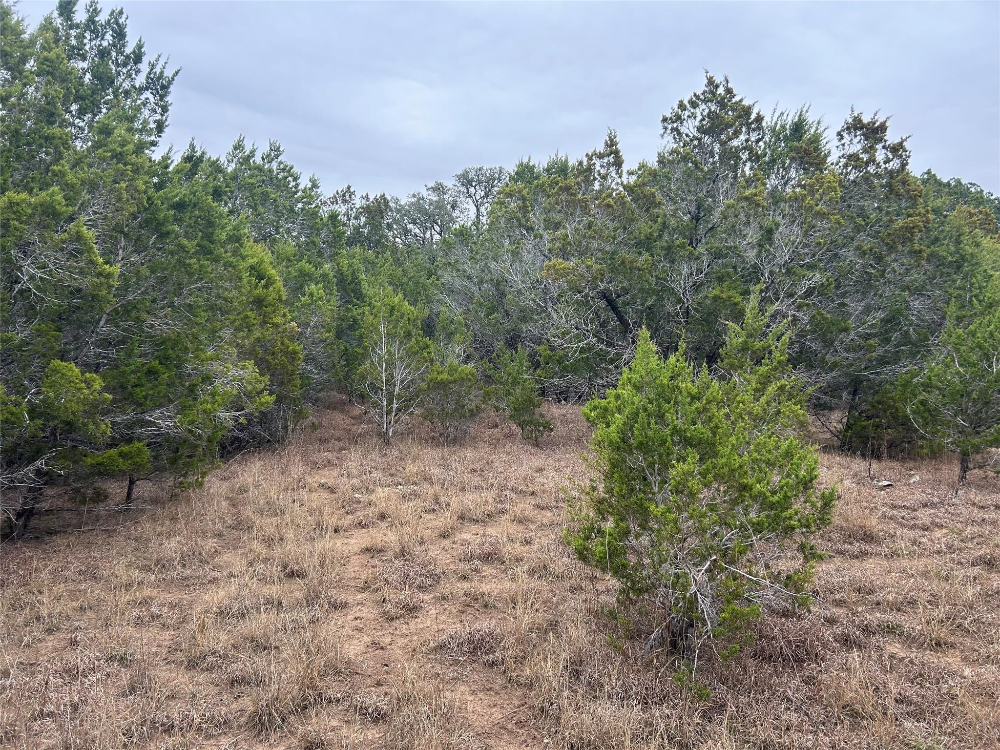 26 Heathrow Ln, Wimberley, TX 78676