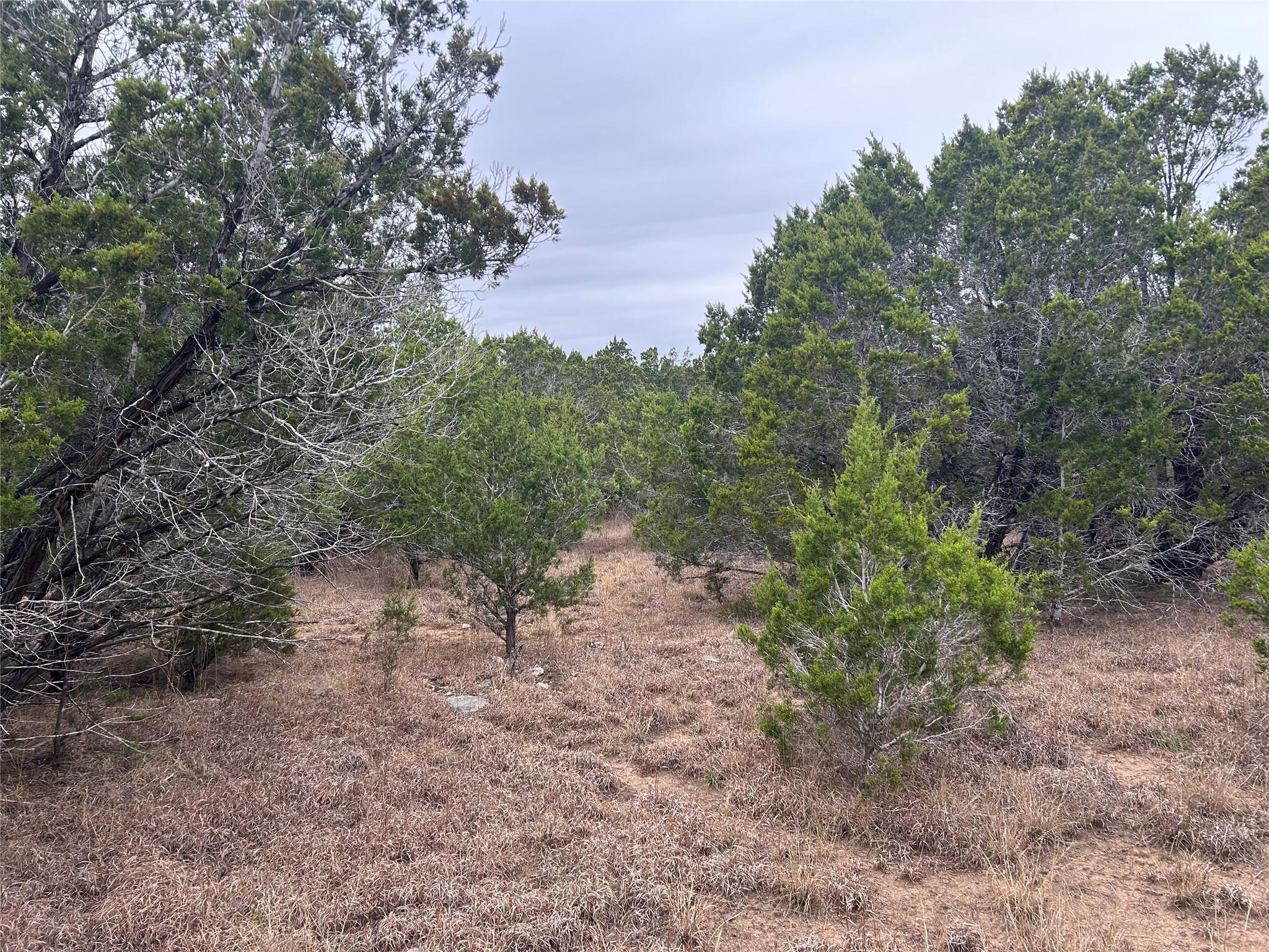 26 Heathrow Ln, Wimberley, TX 78676