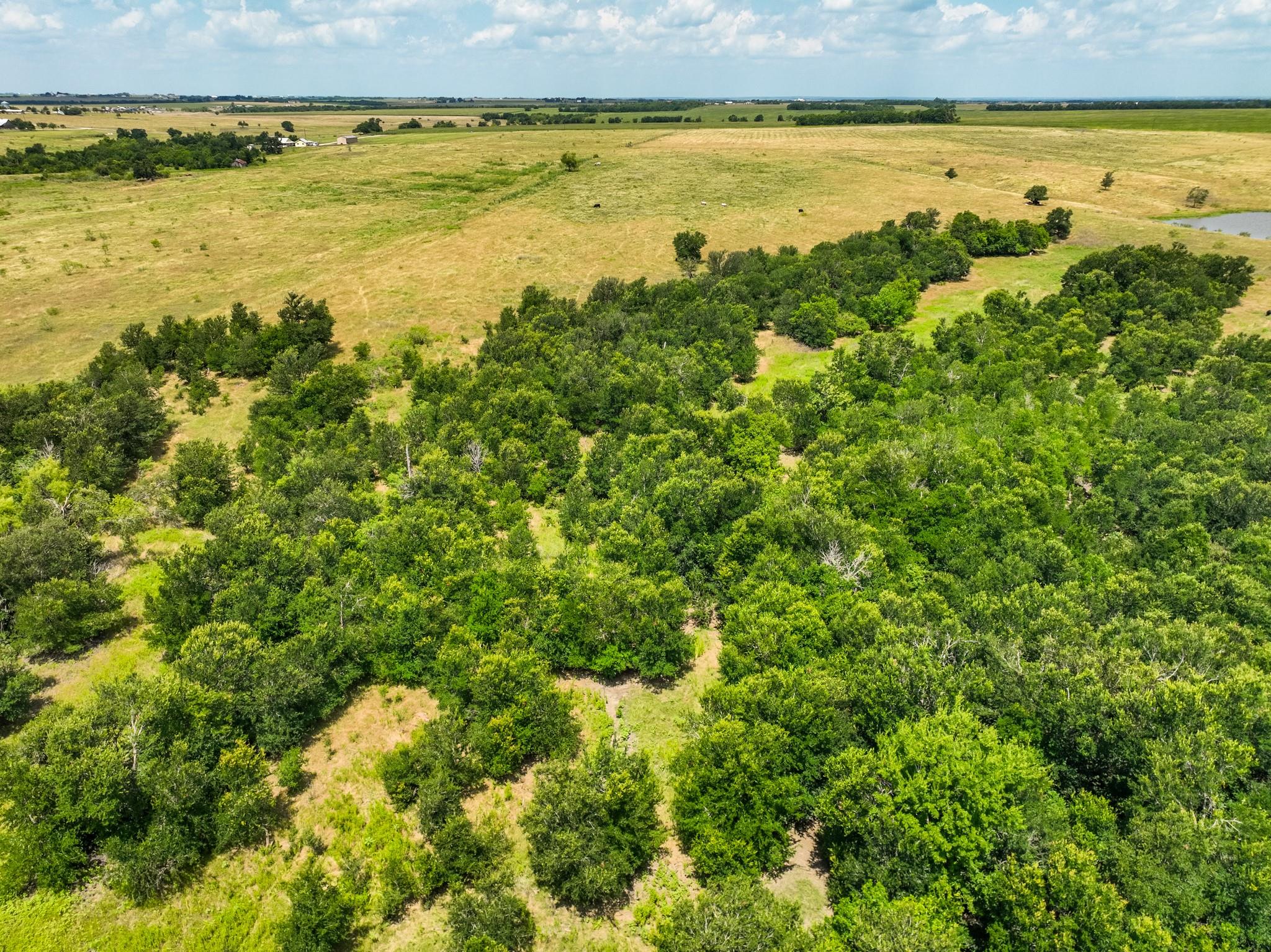 Tract 7 County Road 419, Taylor, TX 76574