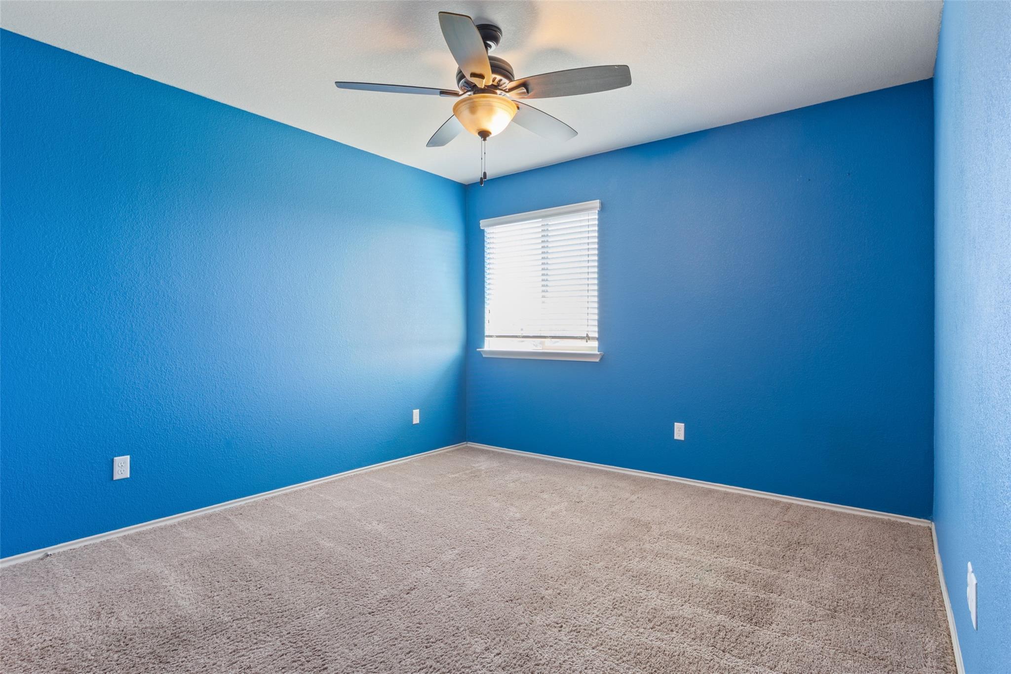 231 Druse Ln, Jarrell, TX 76537