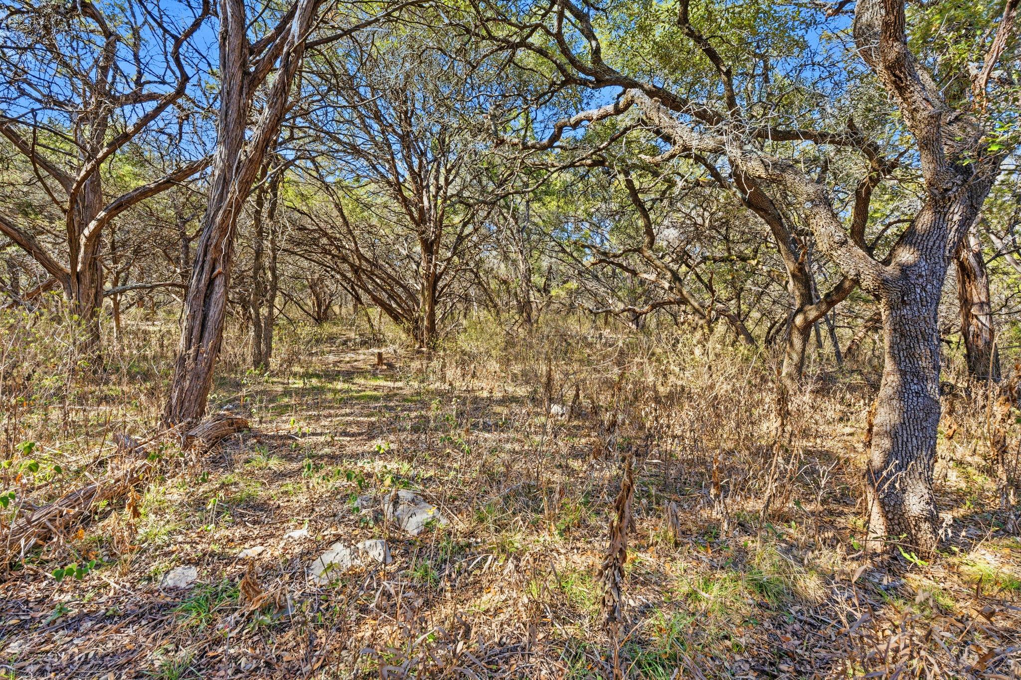 1081 Clark Cv, Buda, TX 78610