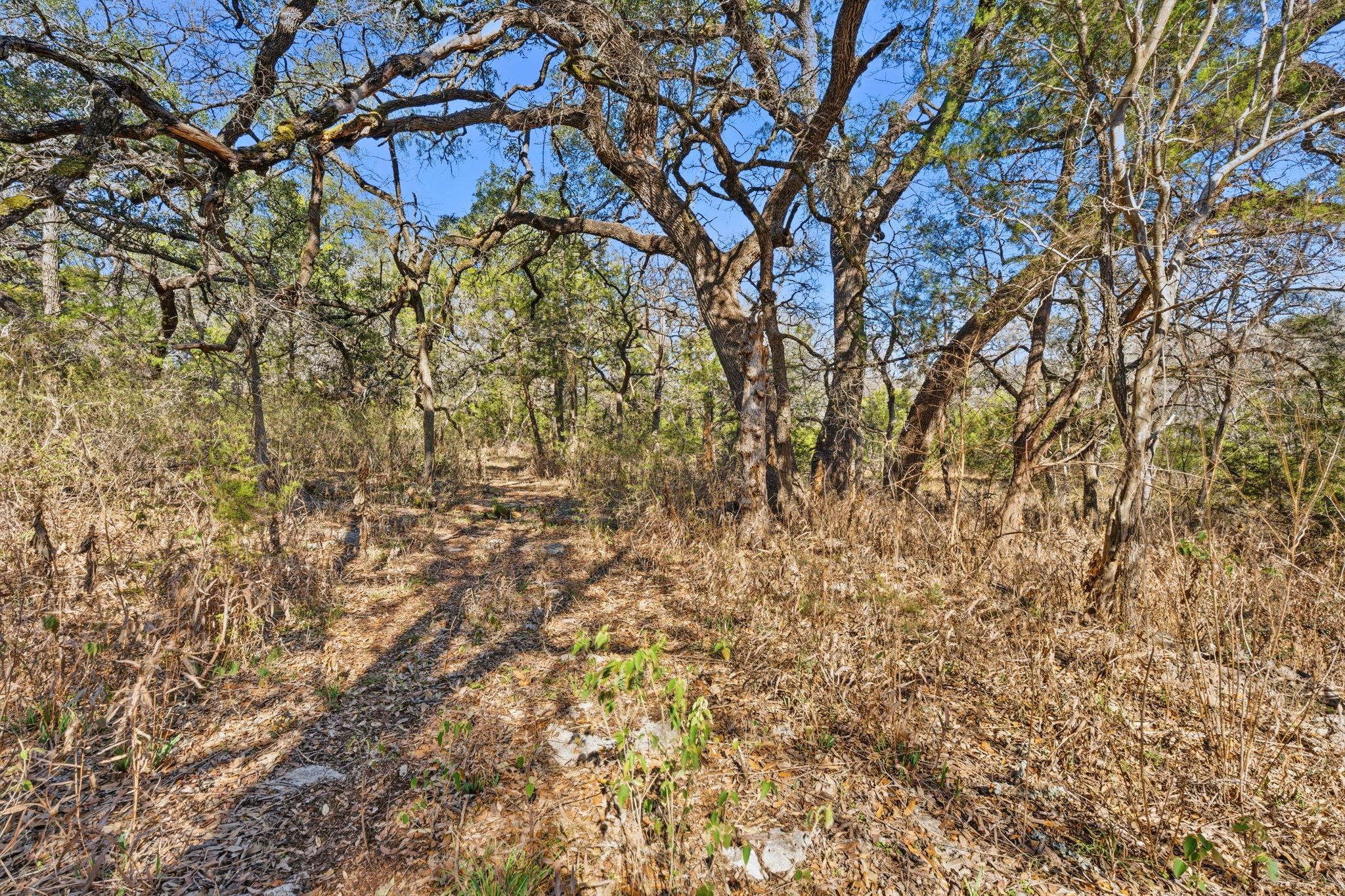 1081 Clark Cv, Buda, TX 78610