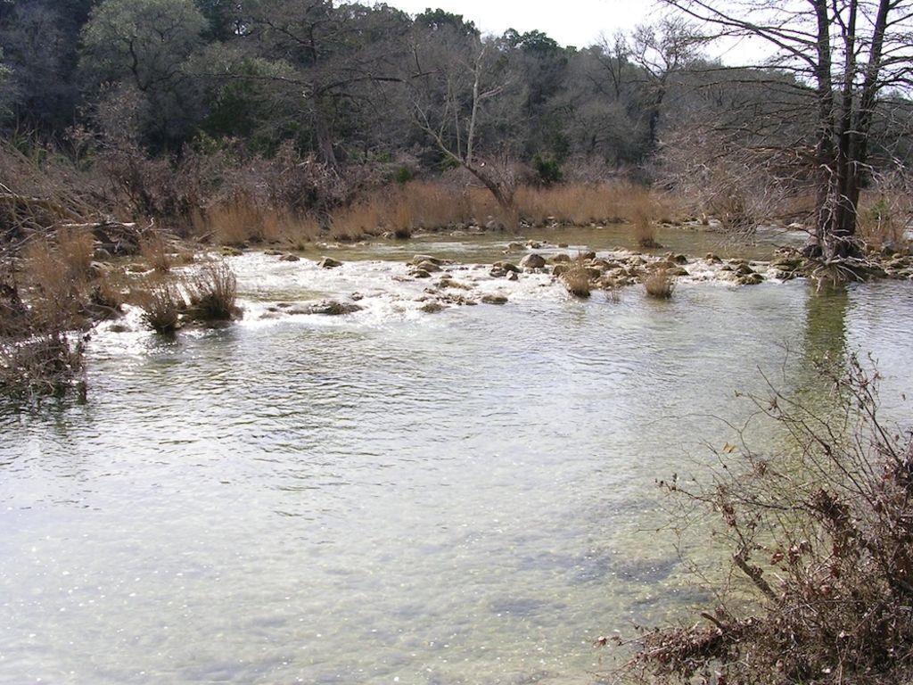 1081 Clark Cv, Buda, TX 78610