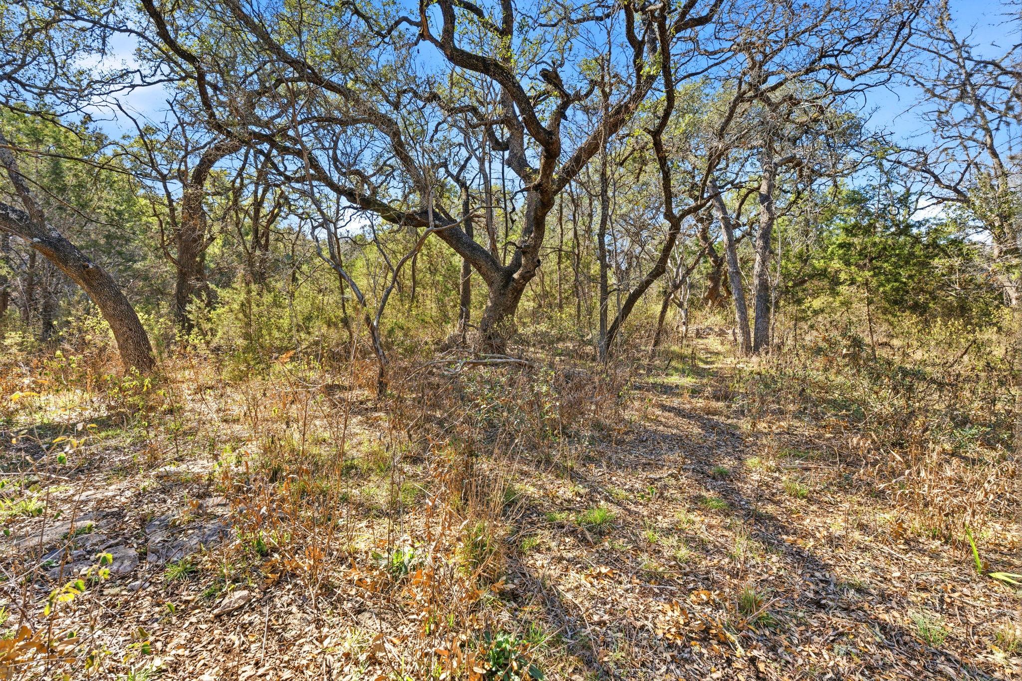 1081 Clark Cv, Buda, TX 78610