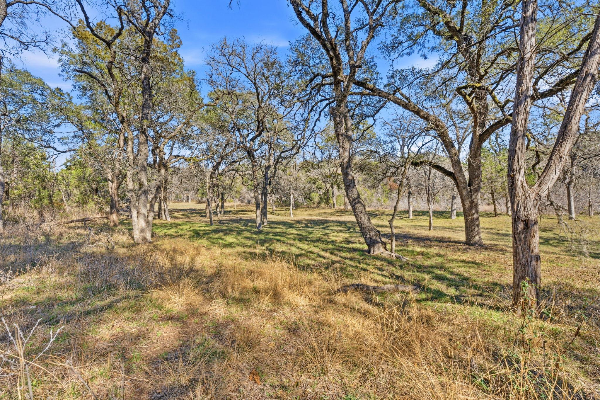 1081 Clark Cv, Buda, TX 78610