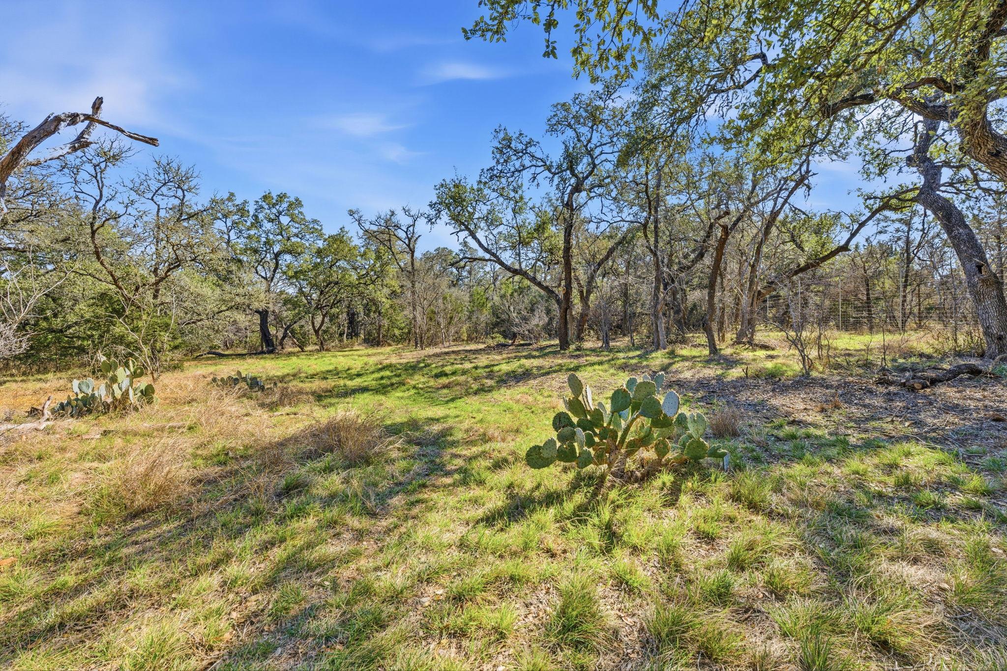 1081 Clark Cv, Buda, TX 78610